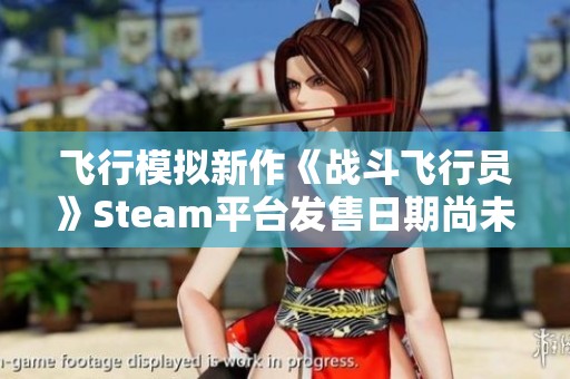 飞行模拟新作《战斗飞行员》Steam平台发售日期尚未确定