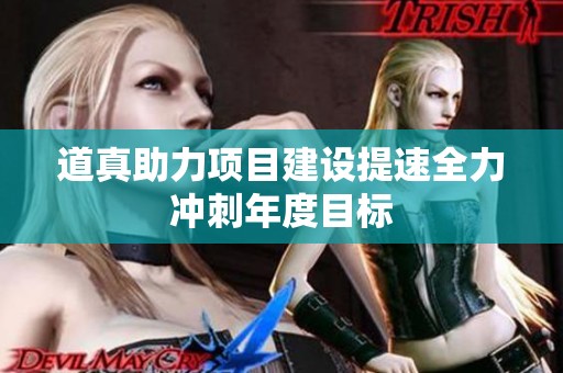 道真助力项目建设提速全力冲刺年度目标