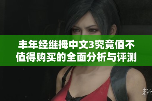 丰年经继拇中文3究竟值不值得购买的全面分析与评测
