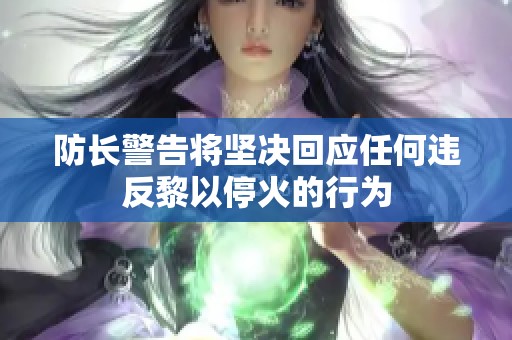 防长警告将坚决回应任何违反黎以停火的行为