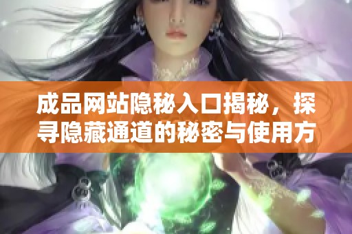 成品网站隐秘入口揭秘，探寻隐藏通道的秘密与使用方法