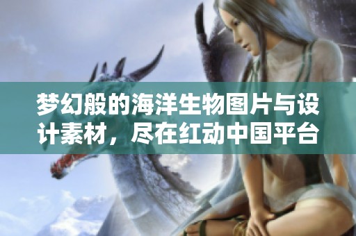 梦幻般的海洋生物图片与设计素材，尽在红动中国平台