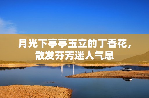 月光下亭亭玉立的丁香花，散发芬芳迷人气息