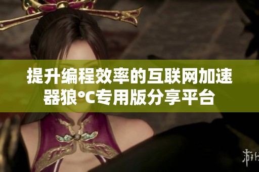 提升编程效率的互联网加速器狼℃专用版分享平台