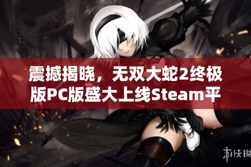 震撼揭晓，无双大蛇2终极版PC版盛大上线Steam平台