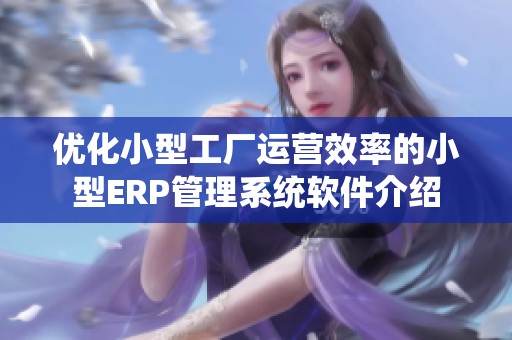 优化小型工厂运营效率的小型ERP管理系统软件介绍