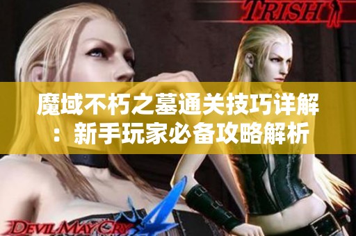 魔域不朽之墓通关技巧详解：新手玩家必备攻略解析