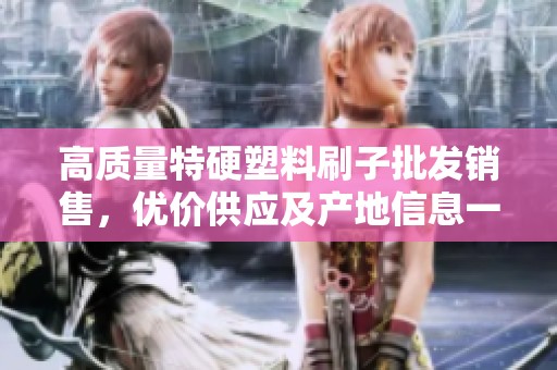 高质量特硬塑料刷子批发销售，优价供应及产地信息一览