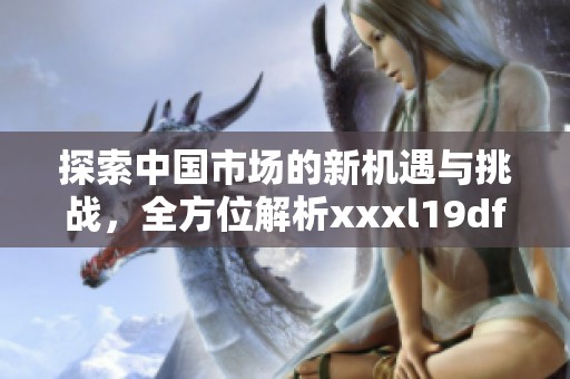 探索中国市场的新机遇与挑战，全方位解析xxxl19dfm技术应用