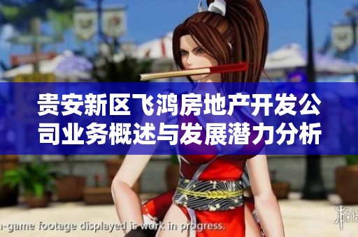 贵安新区飞鸿房地产开发公司业务概述与发展潜力分析