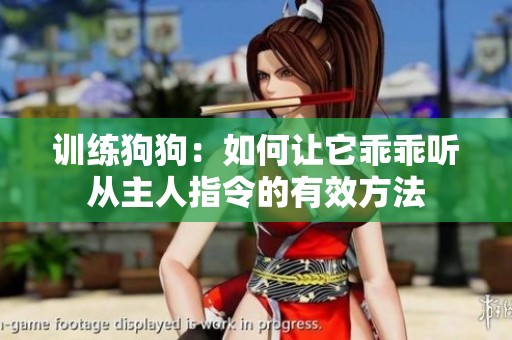 训练狗狗：如何让它乖乖听从主人指令的有效方法