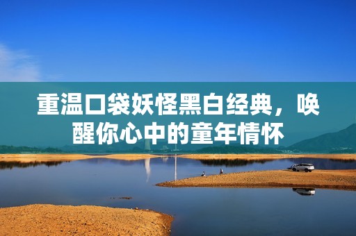 重温口袋妖怪黑白经典，唤醒你心中的童年情怀