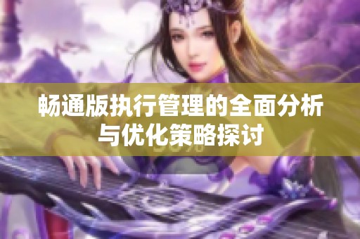 畅通版执行管理的全面分析与优化策略探讨