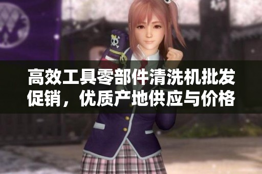 高效工具零部件清洗机批发促销，优质产地供应与价格解析