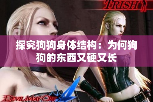 探究狗狗身体结构：为何狗狗的东西又硬又长