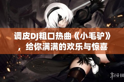 调皮DJ粗口热曲《小毛驴》，给你满满的欢乐与惊喜