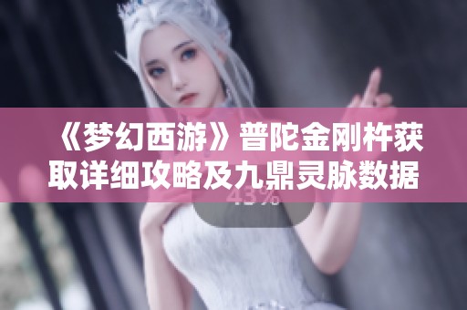 《梦幻西游》普陀金刚杵获取详细攻略及九鼎灵脉数据解析分享