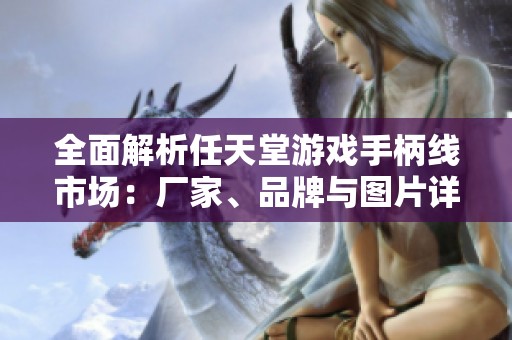 全面解析任天堂游戏手柄线市场：厂家、品牌与图片详细信息一览