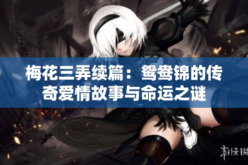 梅花三弄续篇：鸳鸯锦的传奇爱情故事与命运之谜