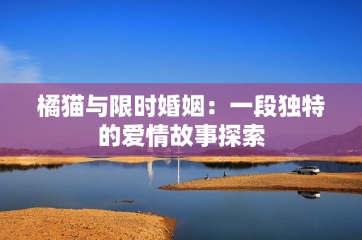 橘猫与限时婚姻：一段独特的爱情故事探索
