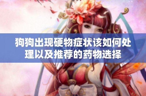 狗狗出现硬物症状该如何处理以及推荐的药物选择