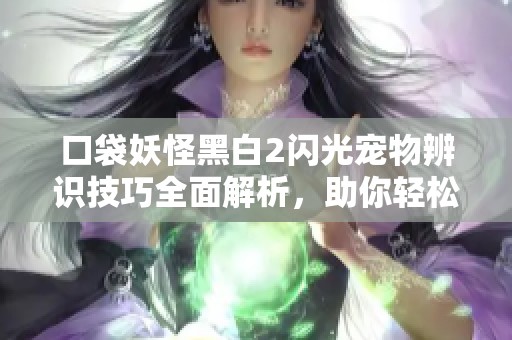 口袋妖怪黑白2闪光宠物辨识技巧全面解析，助你轻松获取稀有闪光宝可梦指南