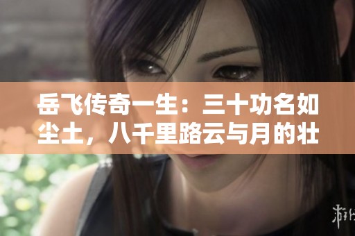 岳飞传奇一生：三十功名如尘土，八千里路云与月的壮丽旅程