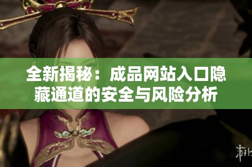 全新揭秘：成品网站入口隐藏通道的安全与风险分析