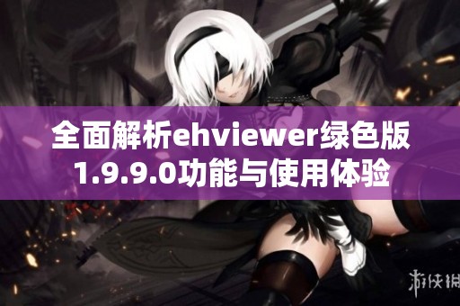 全面解析ehviewer绿色版1.9.9.0功能与使用体验