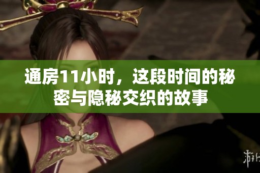 通房11小时，这段时间的秘密与隐秘交织的故事