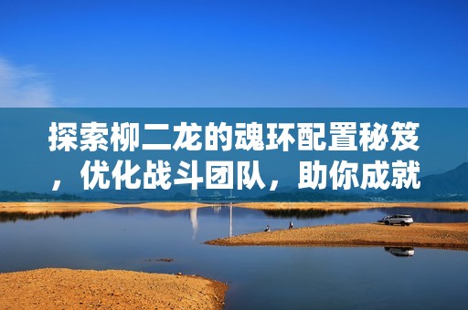 探索柳二龙的魂环配置秘笈，优化战斗团队，助你成就最强战斗阵容！