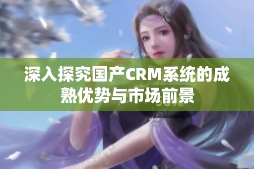 深入探究国产CRM系统的成熟优势与市场前景