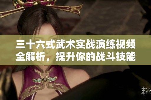 三十六式武术实战演练视频全解析，提升你的战斗技能
