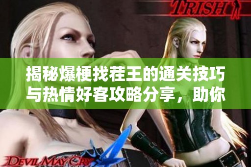 揭秘爆梗找茬王的通关技巧与热情好客攻略分享，助你轻松赢得胜利