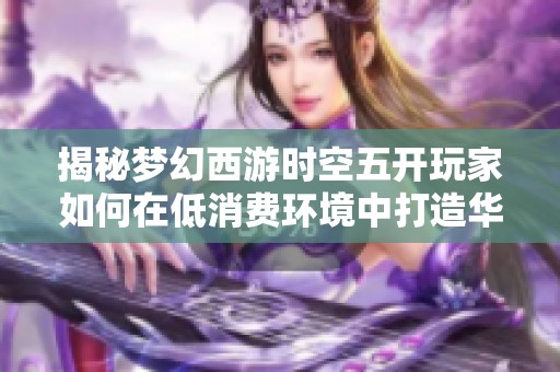 揭秘梦幻西游时空五开玩家如何在低消费环境中打造华丽阵容的独特生活方式