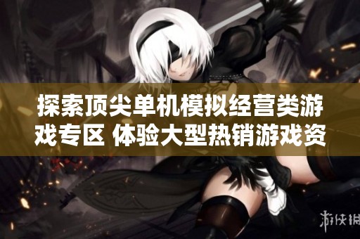 探索顶尖单机模拟经营类游戏专区 体验大型热销游戏资源的魅力与乐趣