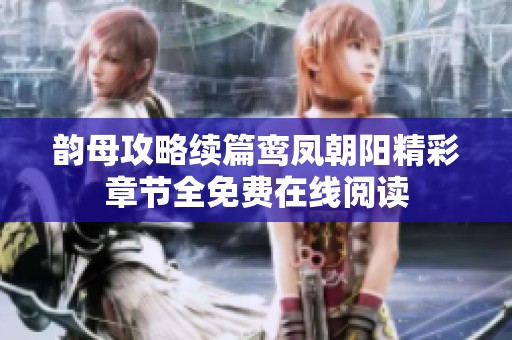 韵母攻略续篇鸾凤朝阳精彩章节全免费在线阅读