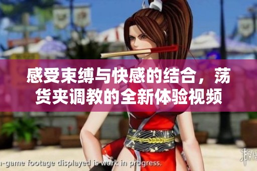 感受束缚与快感的结合，荡货夹调教的全新体验视频