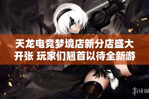 天龙电竞梦境店新分店盛大开张 玩家们翘首以待全新游戏体验