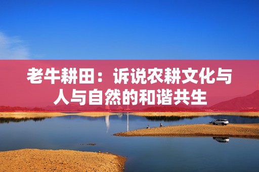 老牛耕田：诉说农耕文化与人与自然的和谐共生
