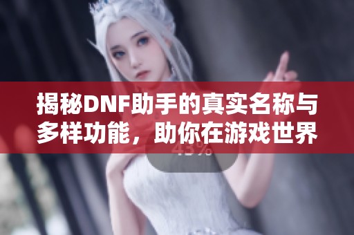 揭秘DNF助手的真实名称与多样功能，助你在游戏世界中纵横驰骋的秘诀