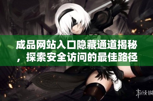 成品网站入口隐藏通道揭秘，探索安全访问的最佳路径