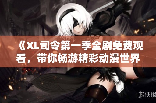 《XL司令第一季全剧免费观看，带你畅游精彩动漫世界》