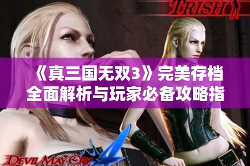 《真三国无双3》完美存档全面解析与玩家必备攻略指南