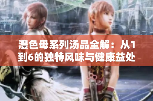 澧色母系列汤品全解：从1到6的独特风味与健康益处