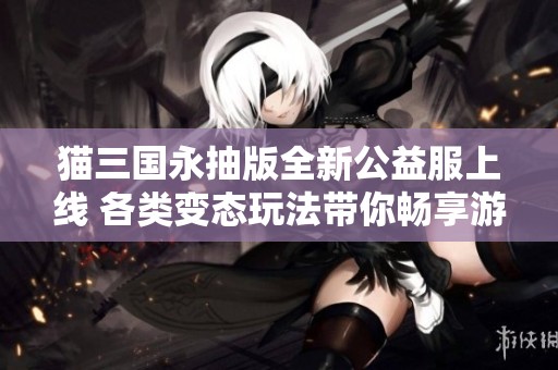 猫三国永抽版全新公益服上线 各类变态玩法带你畅享游戏乐趣
