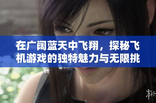 在广阔蓝天中飞翔，探秘飞机游戏的独特魅力与无限挑战