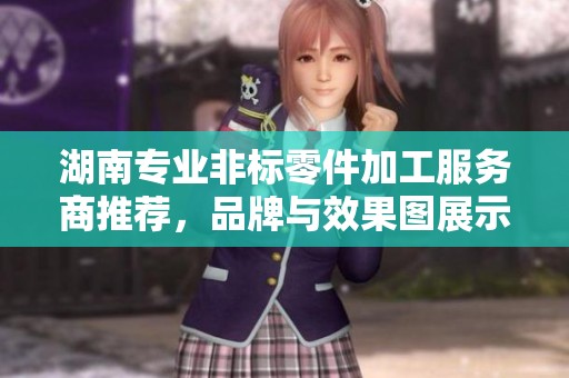 湖南专业非标零件加工服务商推荐，品牌与效果图展示