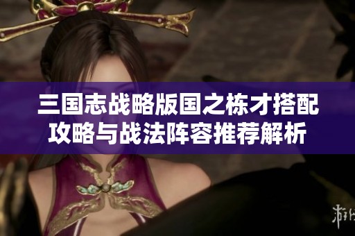 三国志战略版国之栋才搭配攻略与战法阵容推荐解析