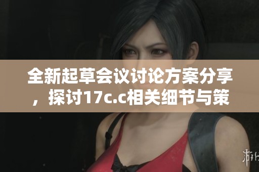 全新起草会议讨论方案分享，探讨17c.c相关细节与策略